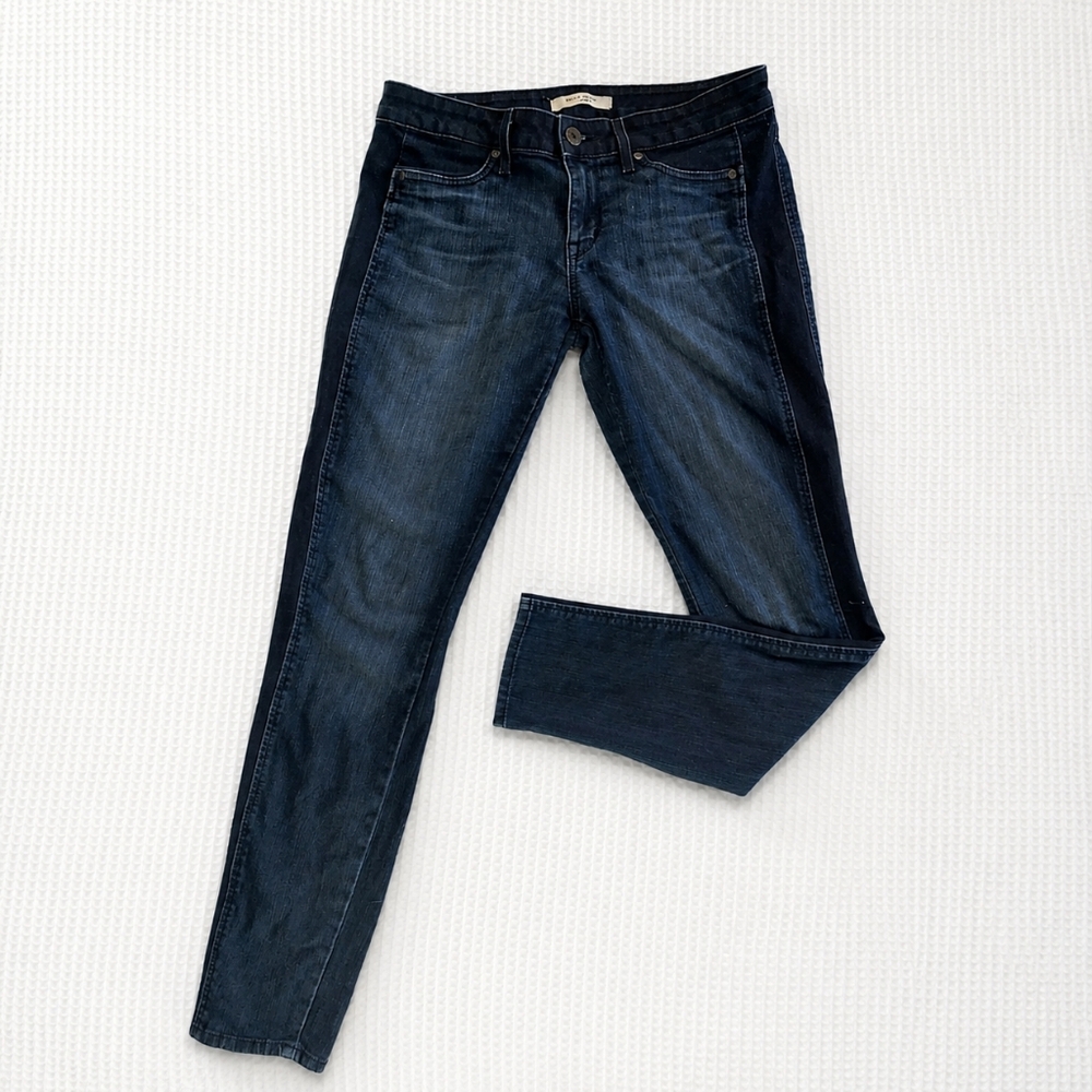 Rich And Skinny Size 29